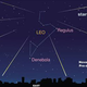 Illustration for article titled How To Watch Tonights Leonid Meteor Shower